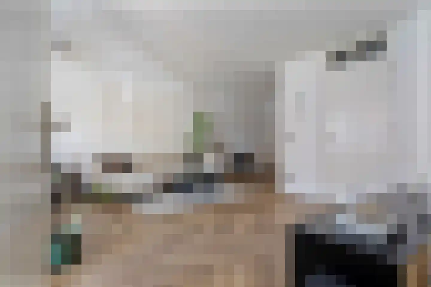 Weidevogellaan 312 Den Haag thumbnail 15