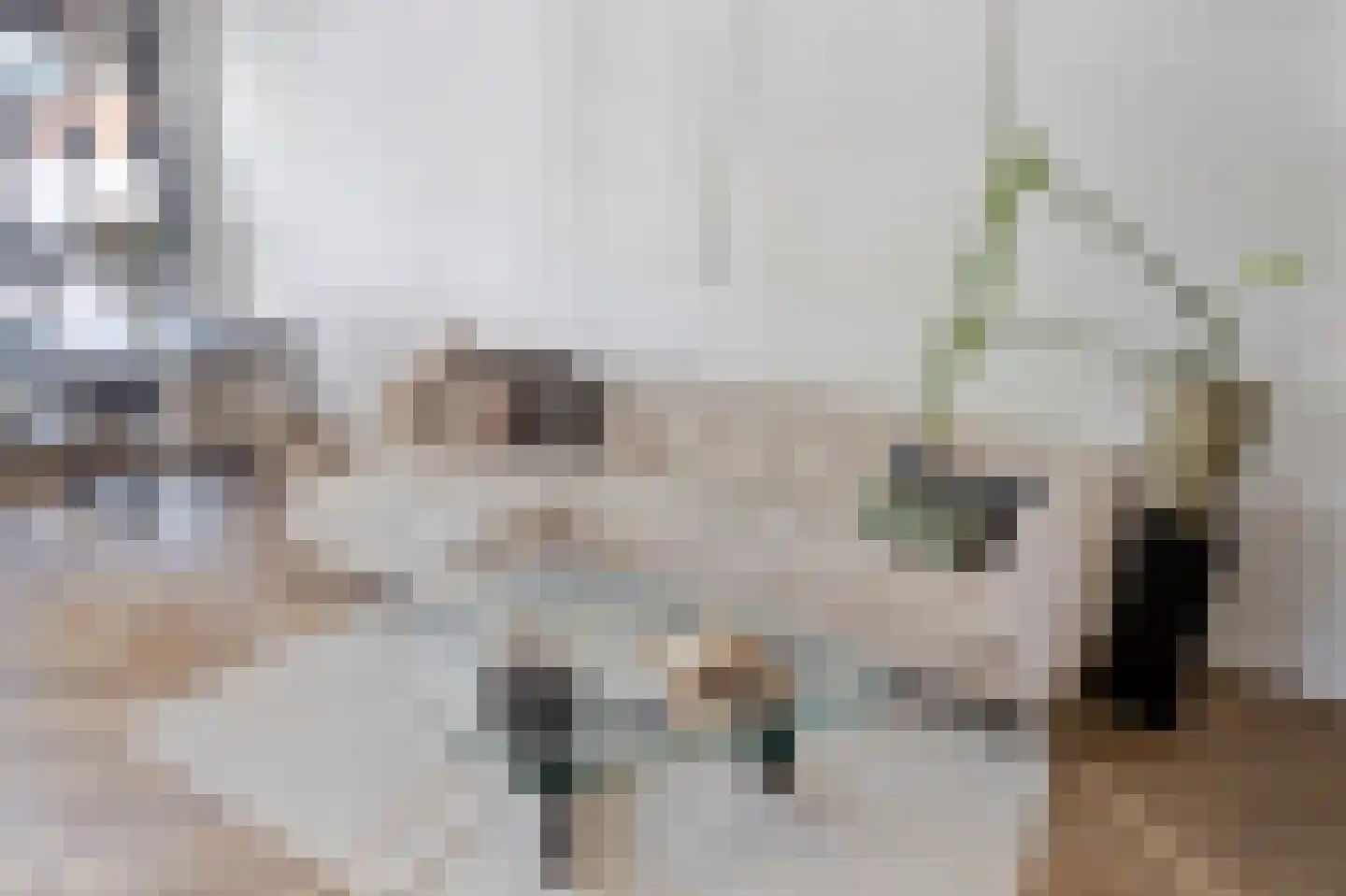 Weidevogellaan 312 Den Haag thumbnail 16