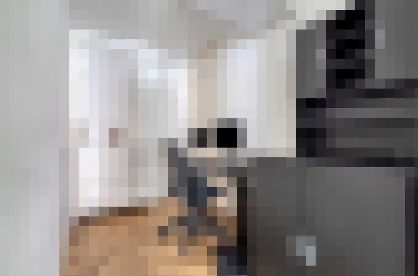 Weidevogellaan 312 Den Haag thumbnail 18