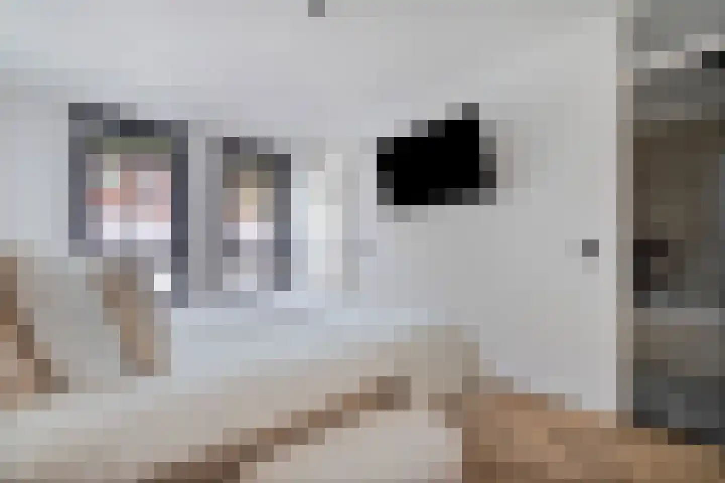 Weidevogellaan 312 Den Haag thumbnail 24