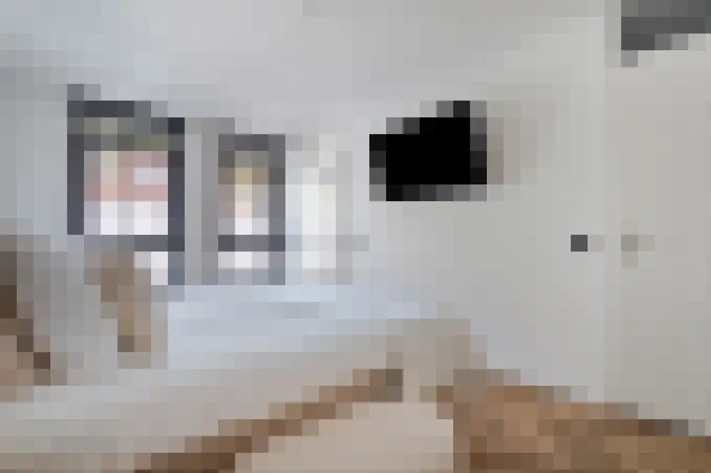 Weidevogellaan 312 Den Haag thumbnail 25