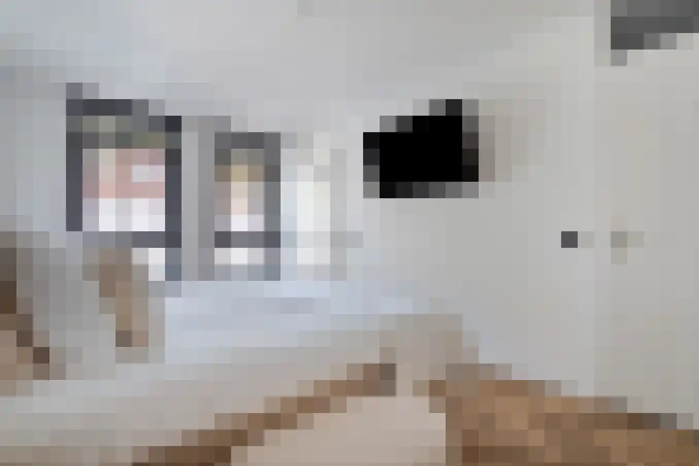 Weidevogellaan 312 Den Haag thumbnail 25