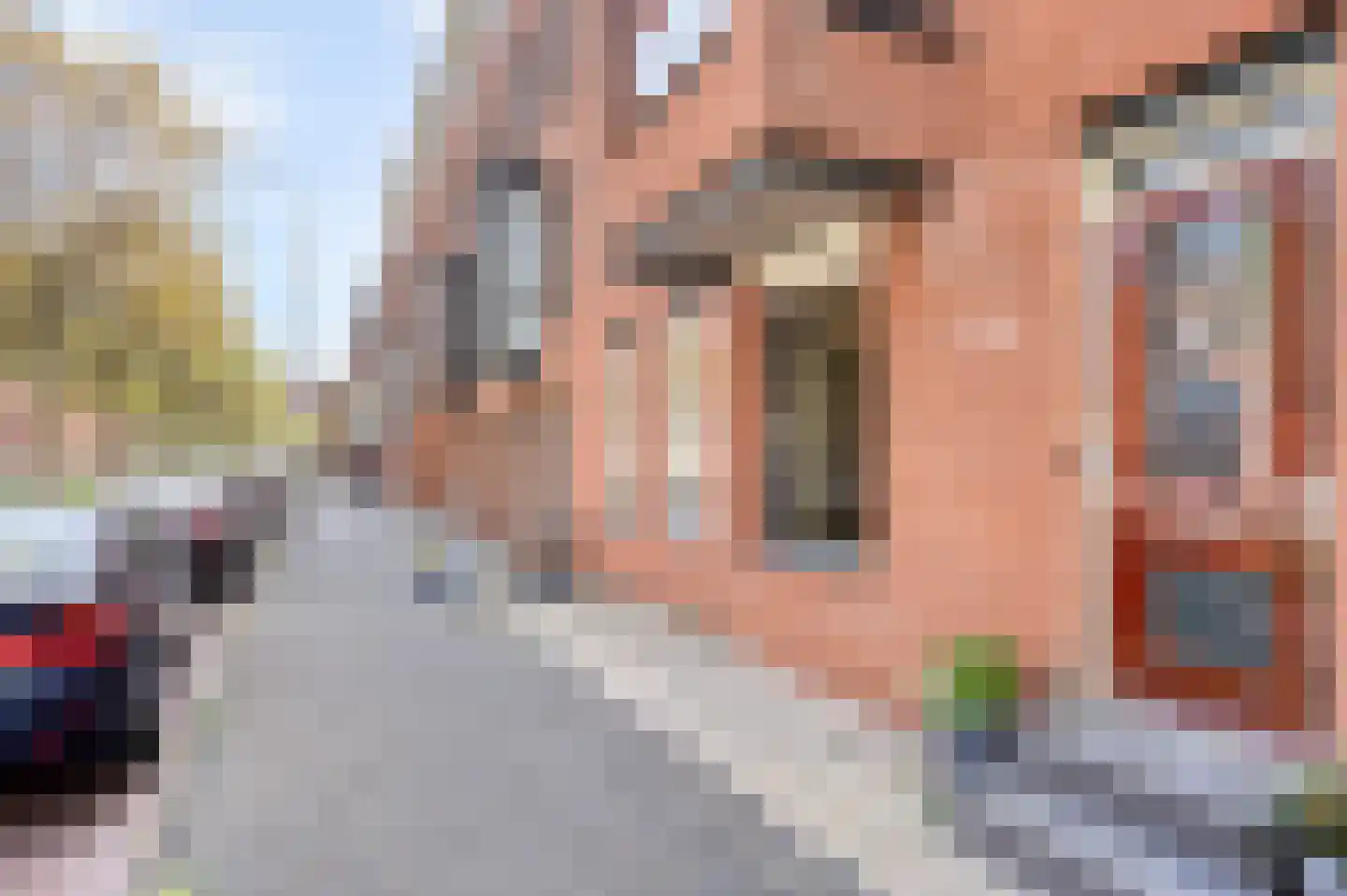 Weidevogellaan 312 Den Haag thumbnail 31