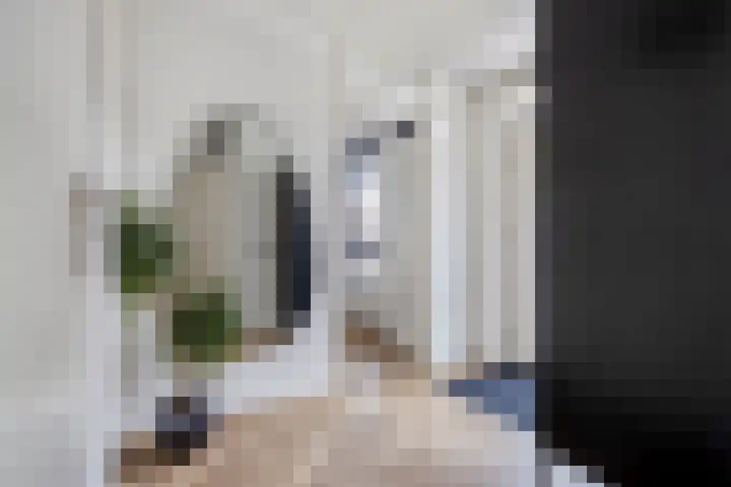 Weidevogellaan 312 Den Haag thumbnail 5