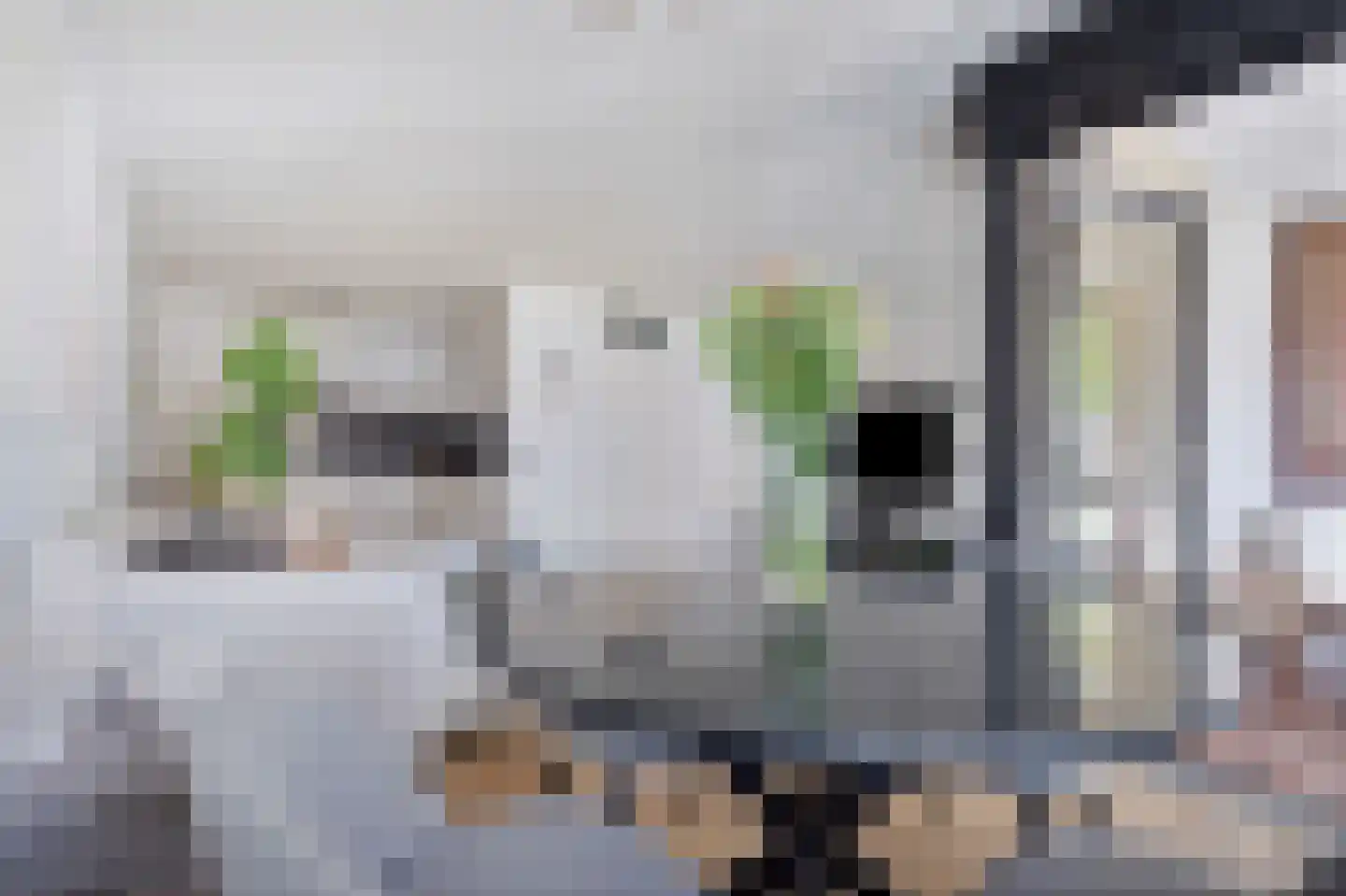 Weidevogellaan 312 Den Haag thumbnail 6
