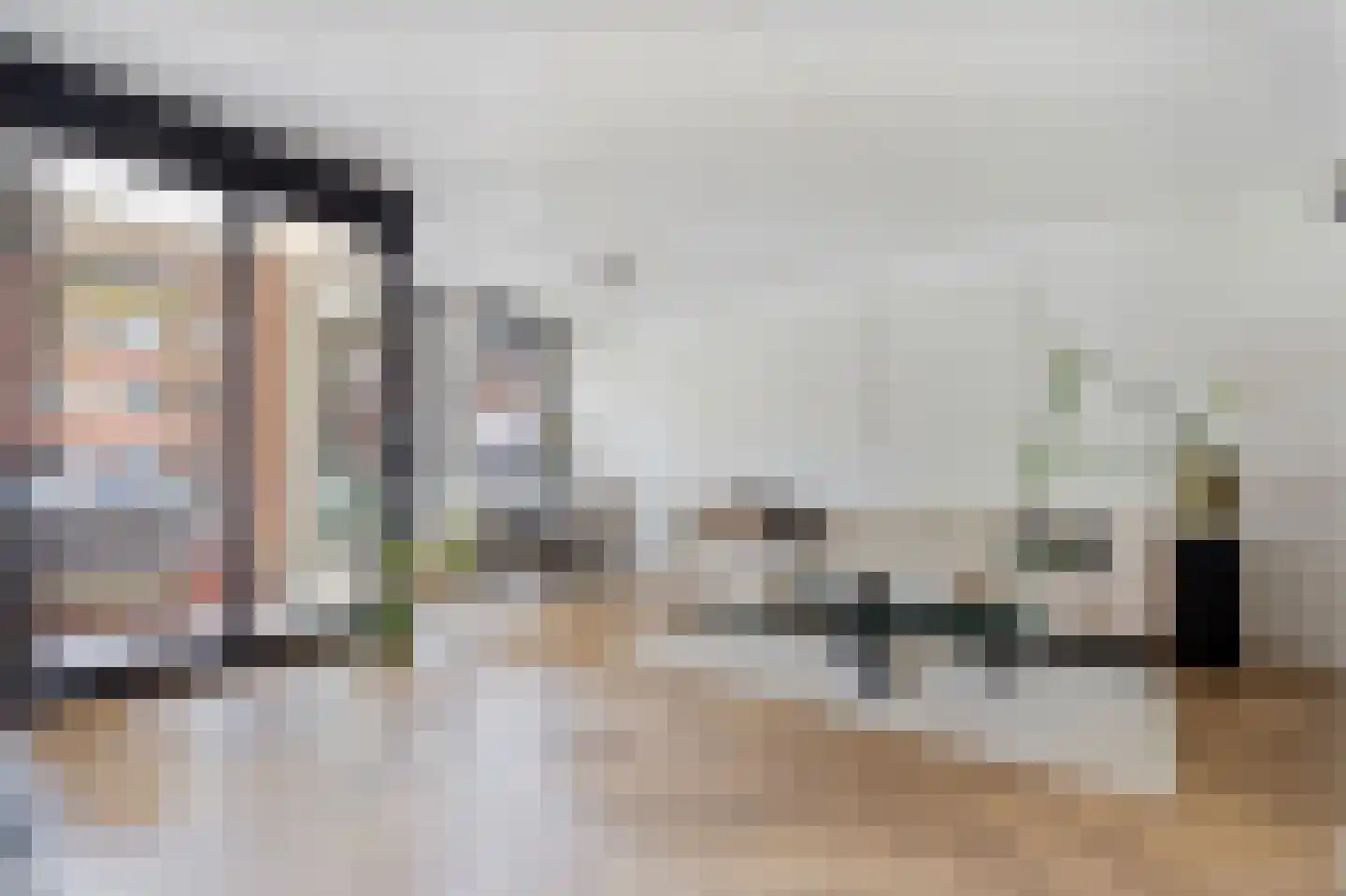 Weidevogellaan 312 Den Haag thumbnail 7