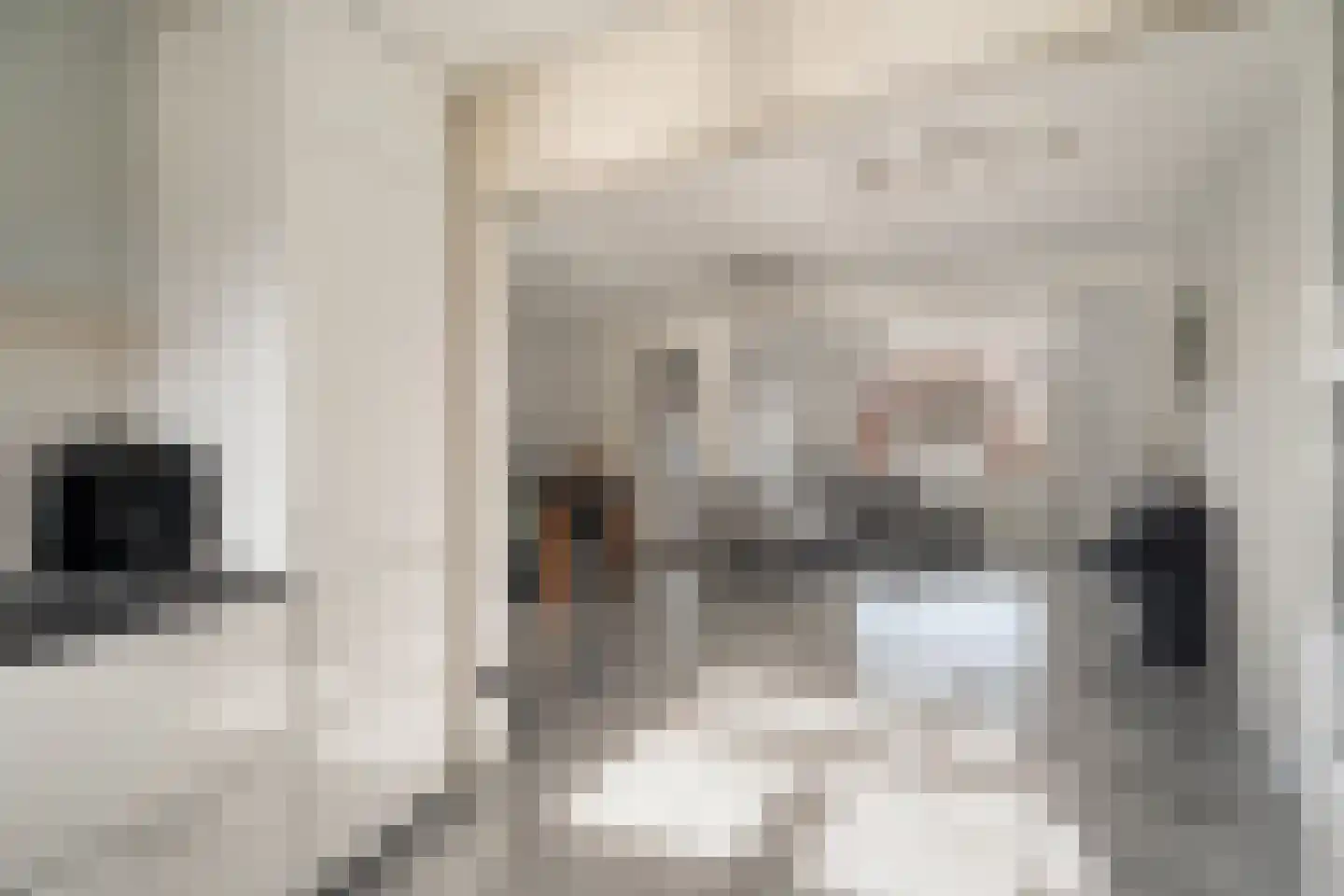 Weidevogellaan 4 Elburg thumbnail 15
