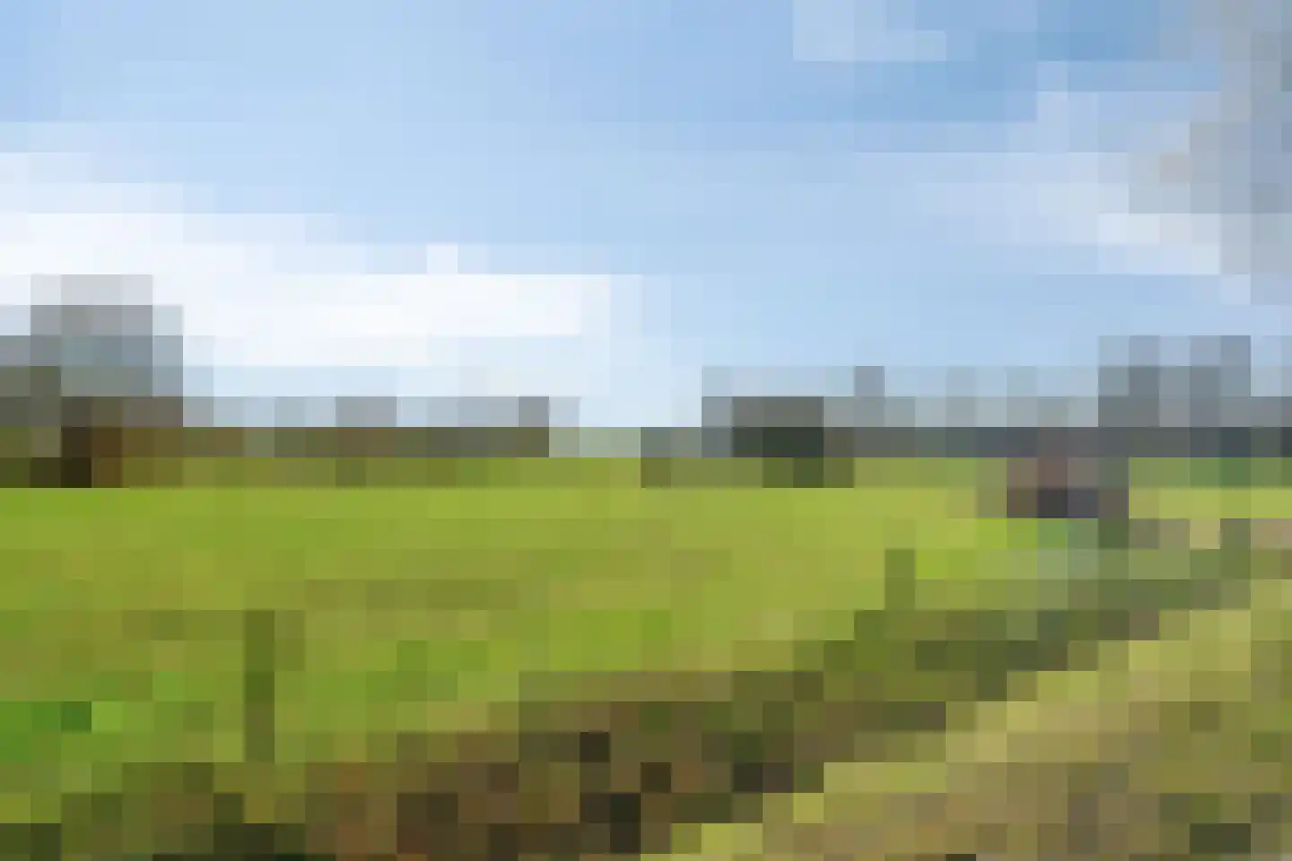 Weidevogellaan 4 Elburg thumbnail 39