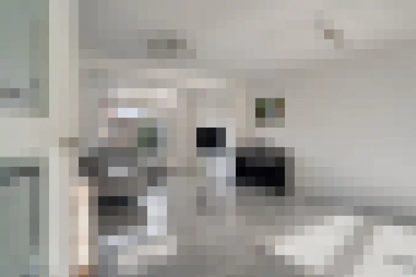 Weidevogellaan 4 Elburg thumbnail 8