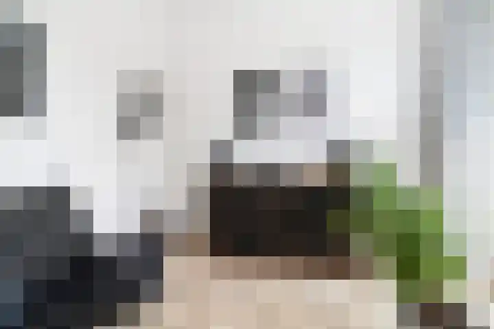 Weidevogellaan 52 Den Haag thumbnail 14