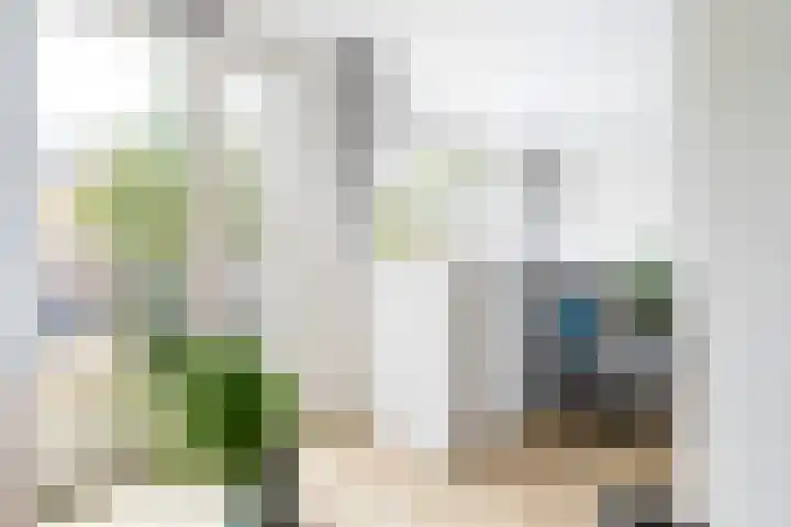 Weidevogellaan 52 Den Haag thumbnail 15