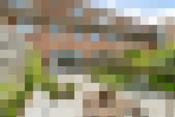 Weidevogellaan 52 Den Haag thumbnail 21