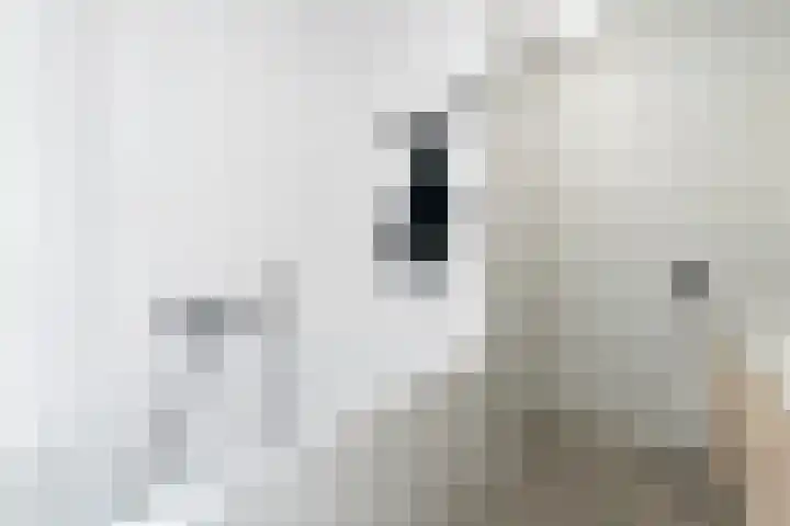 Weidevogellaan 52 Den Haag thumbnail 30