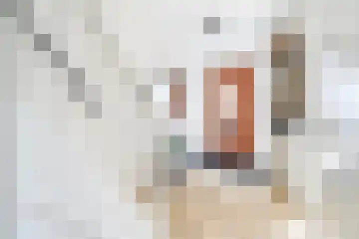 Weidevogellaan 52 Den Haag thumbnail 33