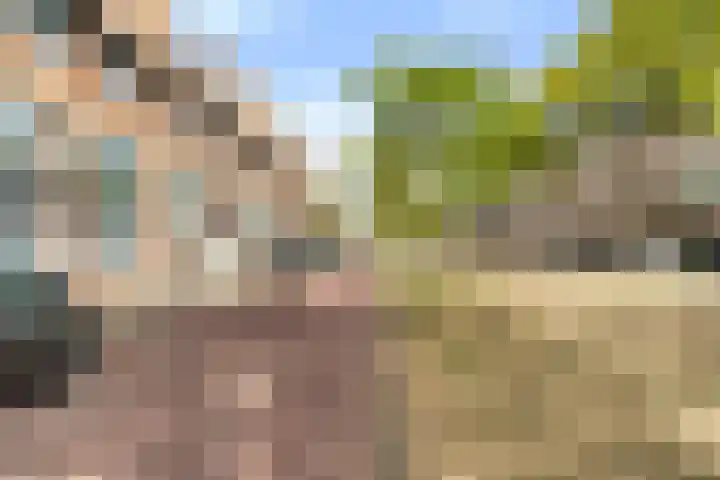Weidevogellaan 52 Den Haag thumbnail 36