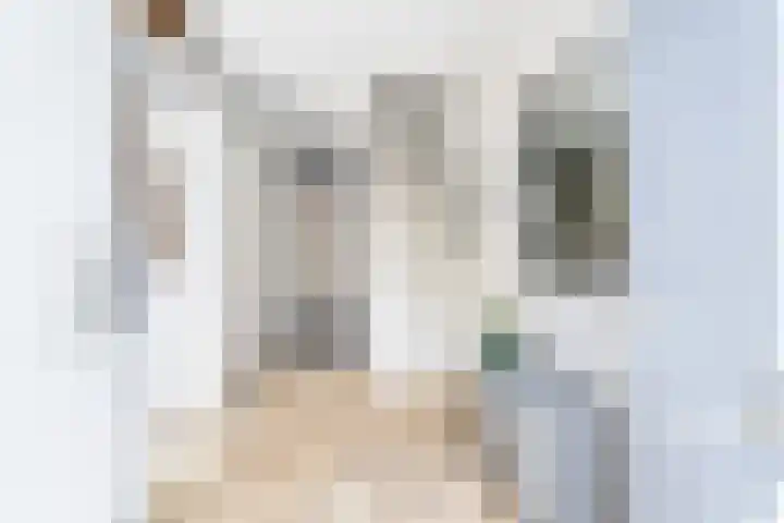 Weidevogellaan 52 Den Haag thumbnail 5