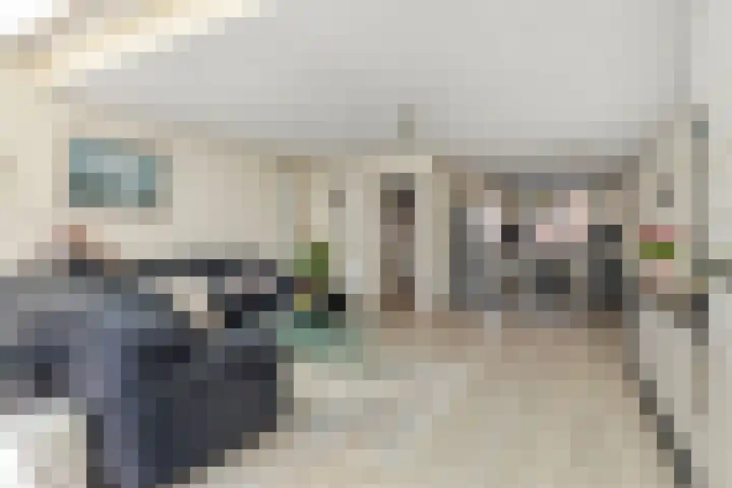 Weidevogellaan 63 Den Haag thumbnail 10