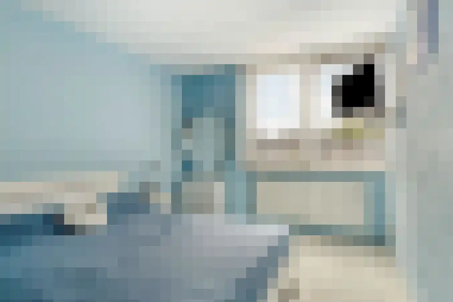 Weidevogellaan 63 Den Haag thumbnail 20