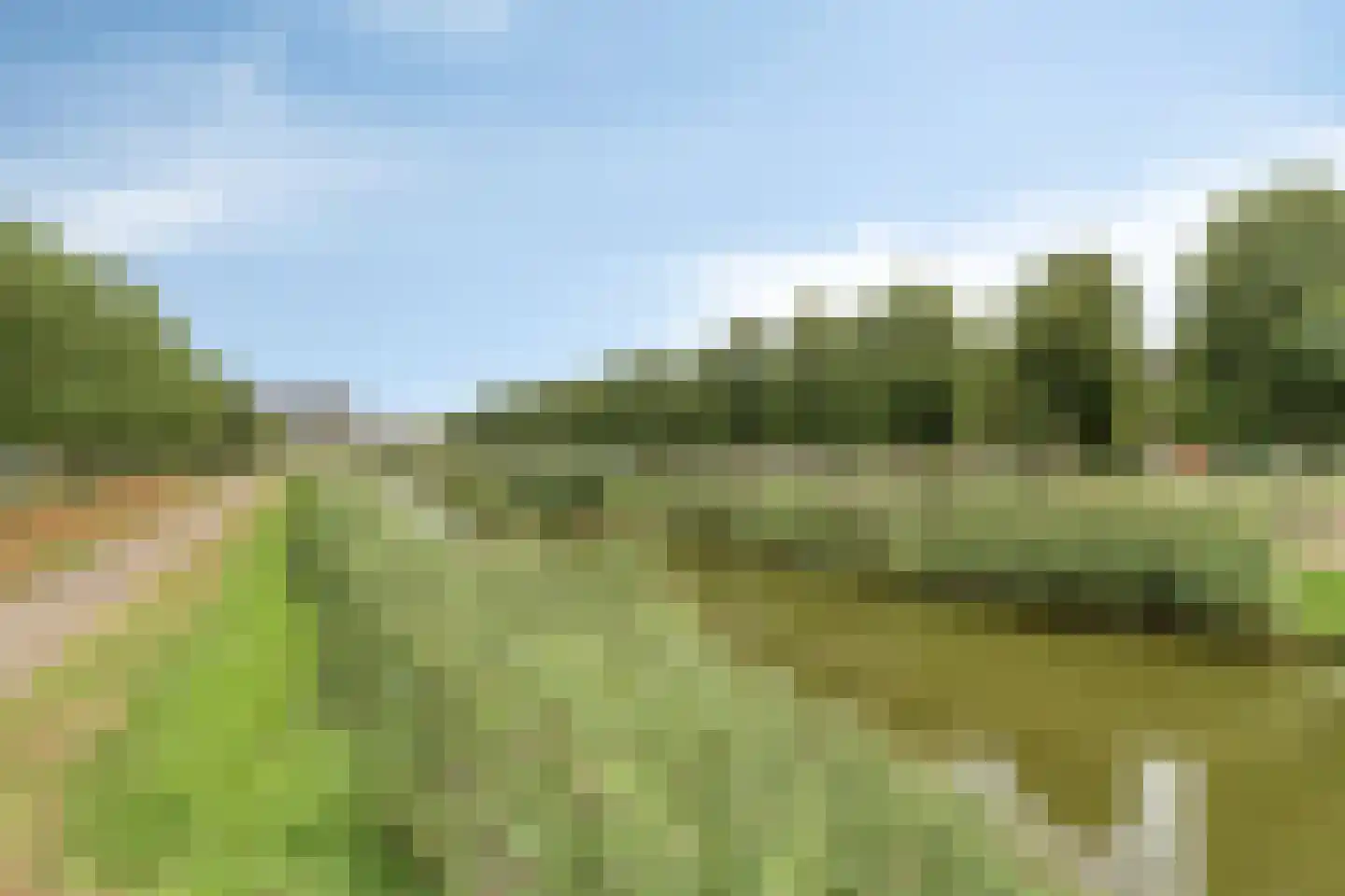 Weidevogellaan 63 Den Haag thumbnail 39