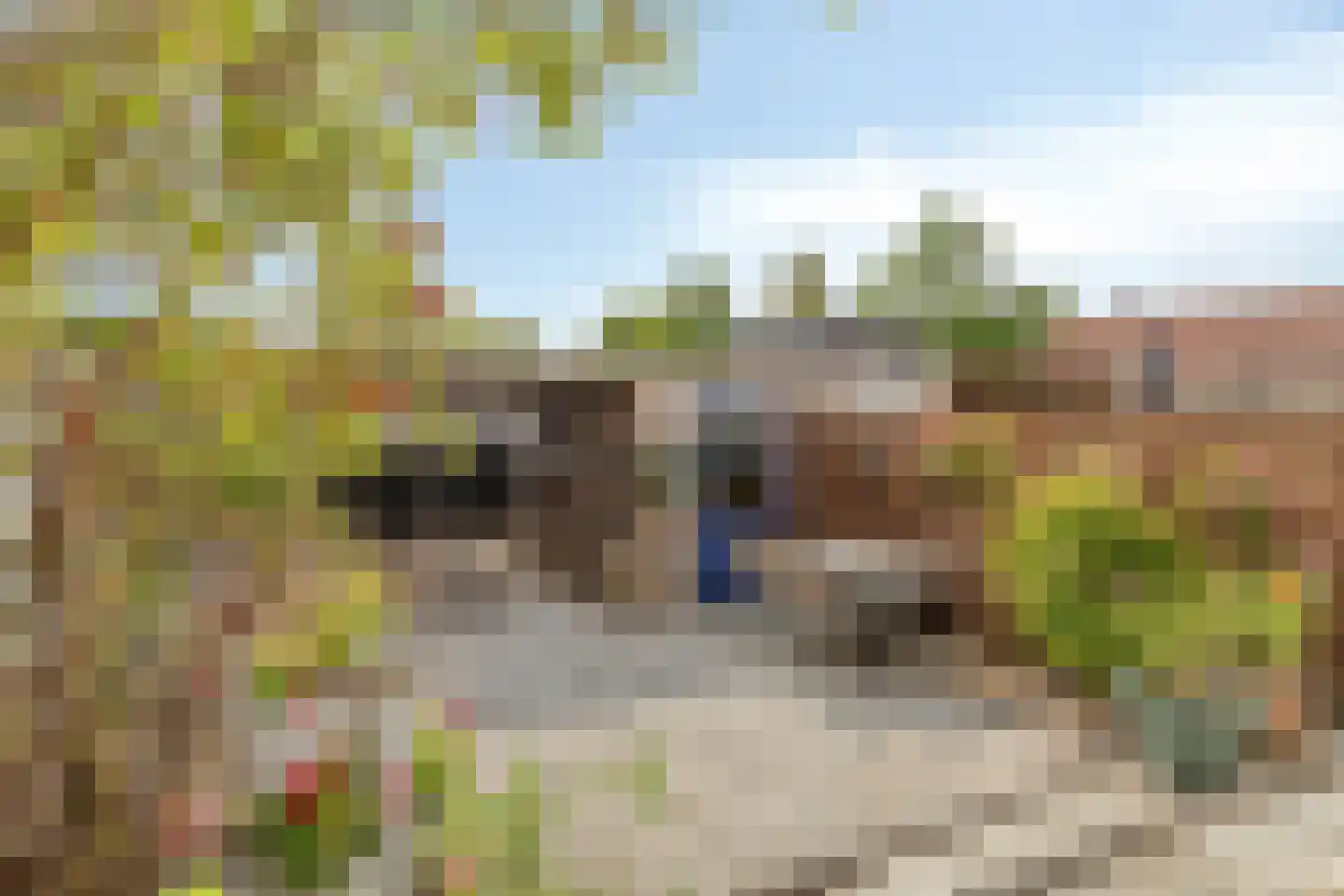 Weidevogellaan 63 Den Haag thumbnail 5