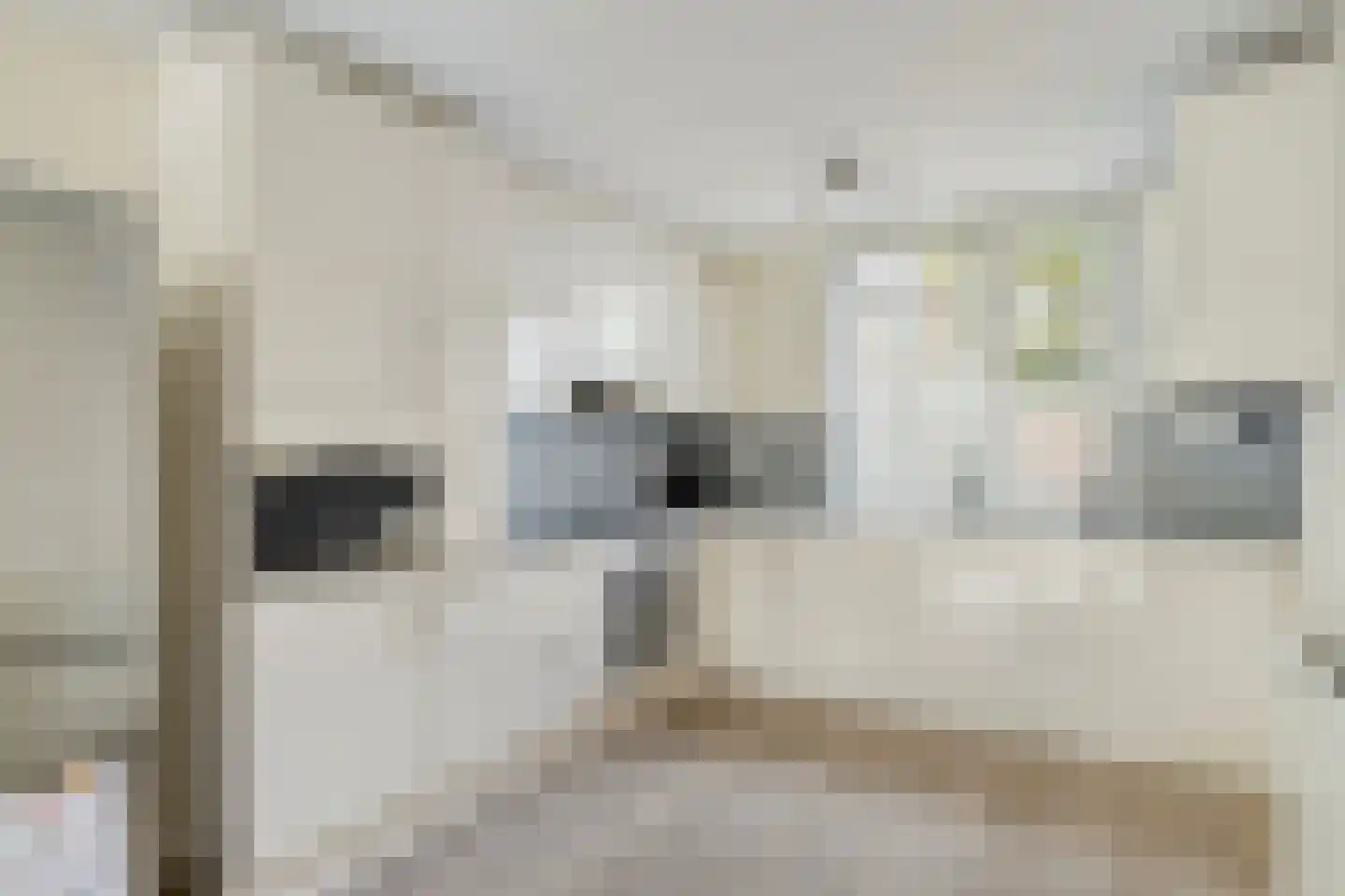 Weidevogellaan 63 Den Haag thumbnail 6