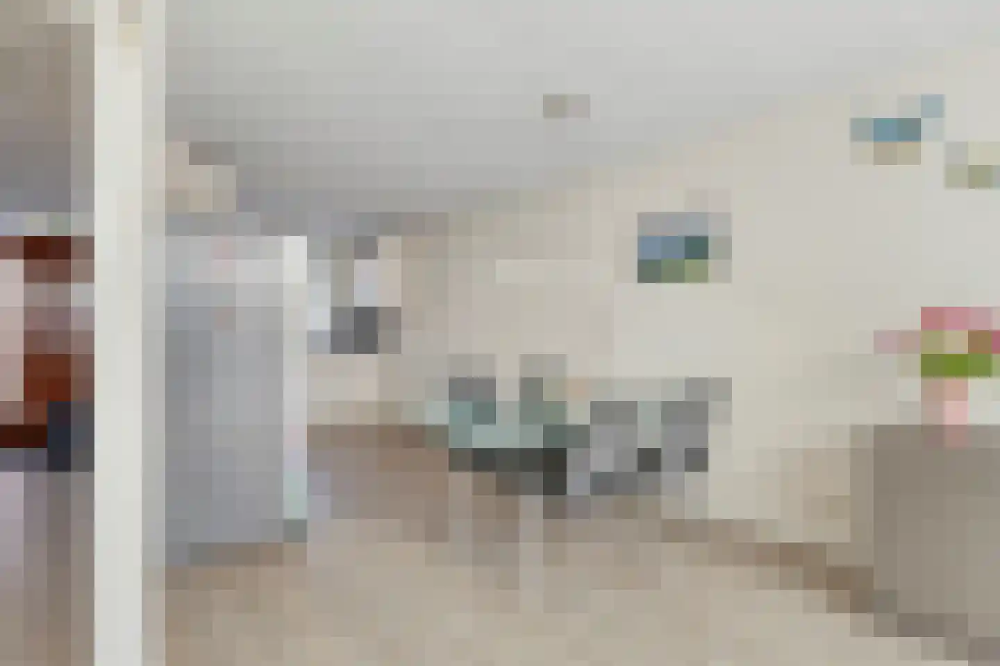 Weidevogellaan 63 Den Haag thumbnail 9