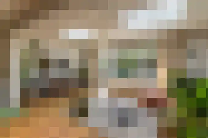 Weidevogellaan 63 Elburg thumbnail 16