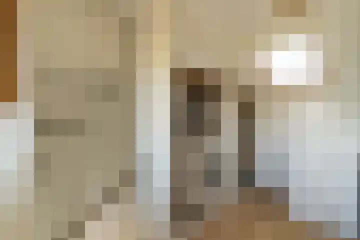 Weidevogellaan 63 Elburg thumbnail 34