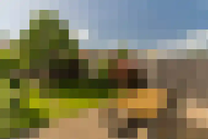 Weidevogellaan 63 Elburg thumbnail 39