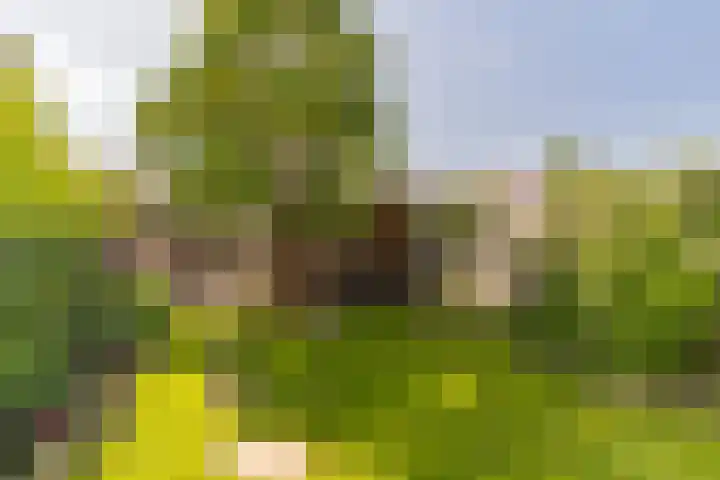Weidevogellaan 63 Elburg thumbnail 4