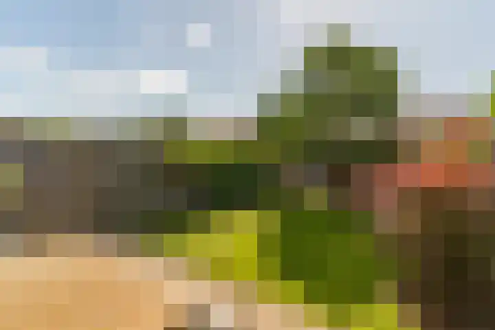Weidevogellaan 63 Elburg thumbnail 40