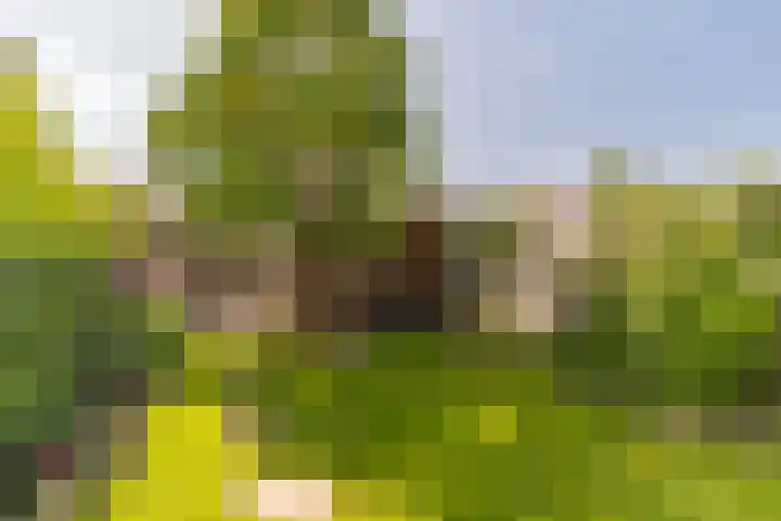 Weidevogellaan 63 Elburg thumbnail 41
