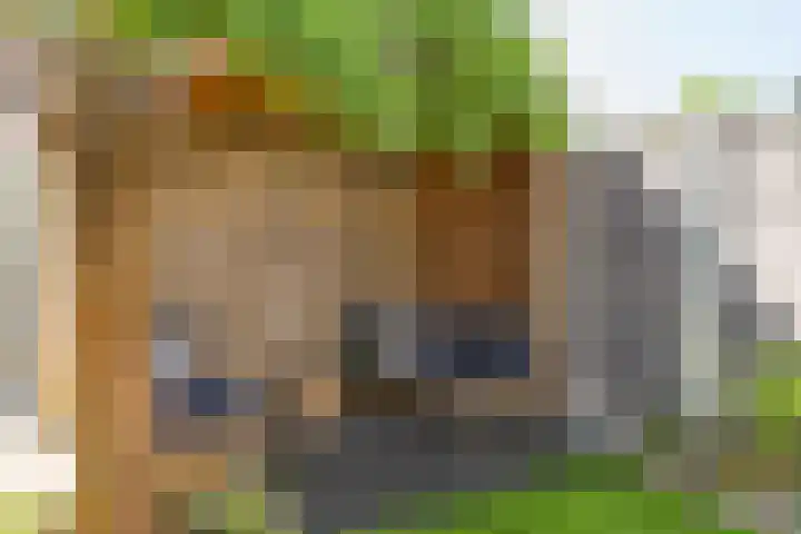 Weidevogellaan 63 Elburg thumbnail 42