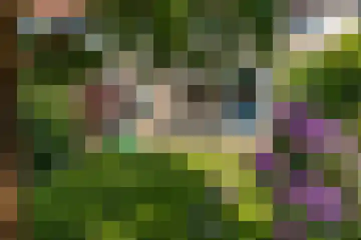 Weidevogellaan 63 Elburg thumbnail 44