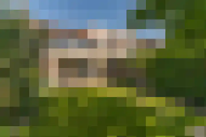 Weidevogellaan 63 Elburg thumbnail 46