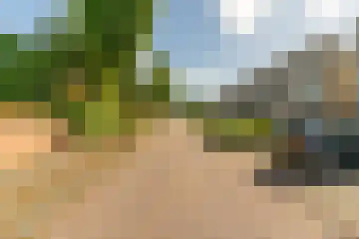 Weidevogellaan 63 Elburg thumbnail 47