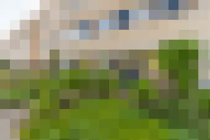 Weidevogellaan 63 Elburg thumbnail 7