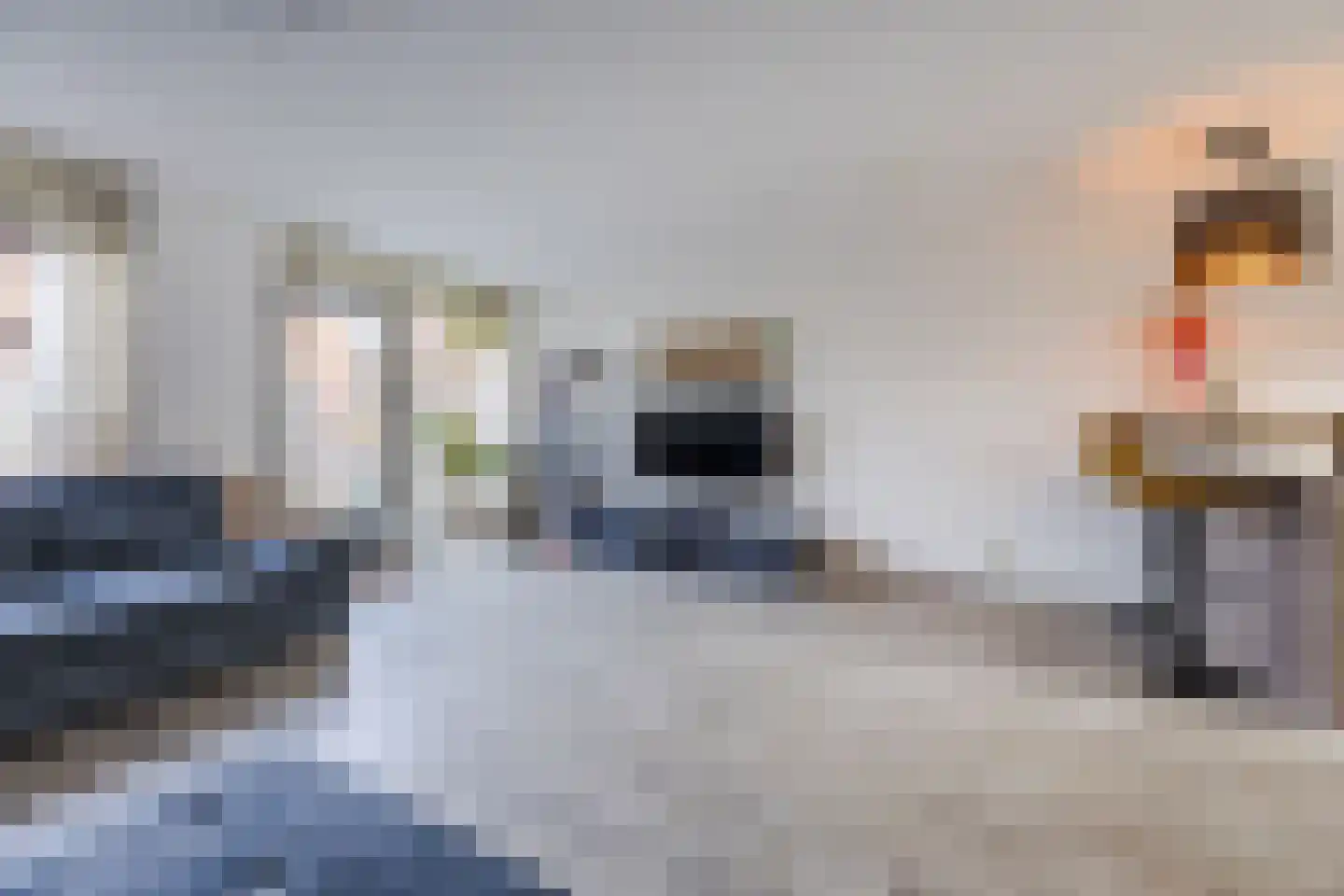 Weidevogellaan 68 Den Haag thumbnail 12