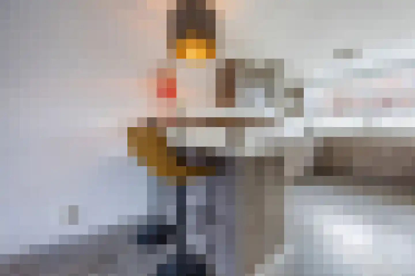 Weidevogellaan 68 Den Haag thumbnail 13