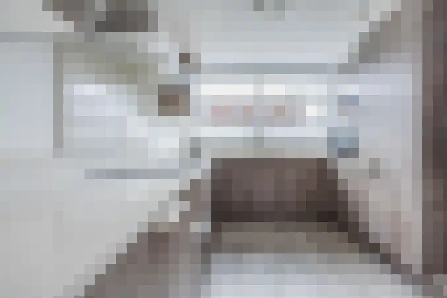 Weidevogellaan 68 Den Haag thumbnail 14