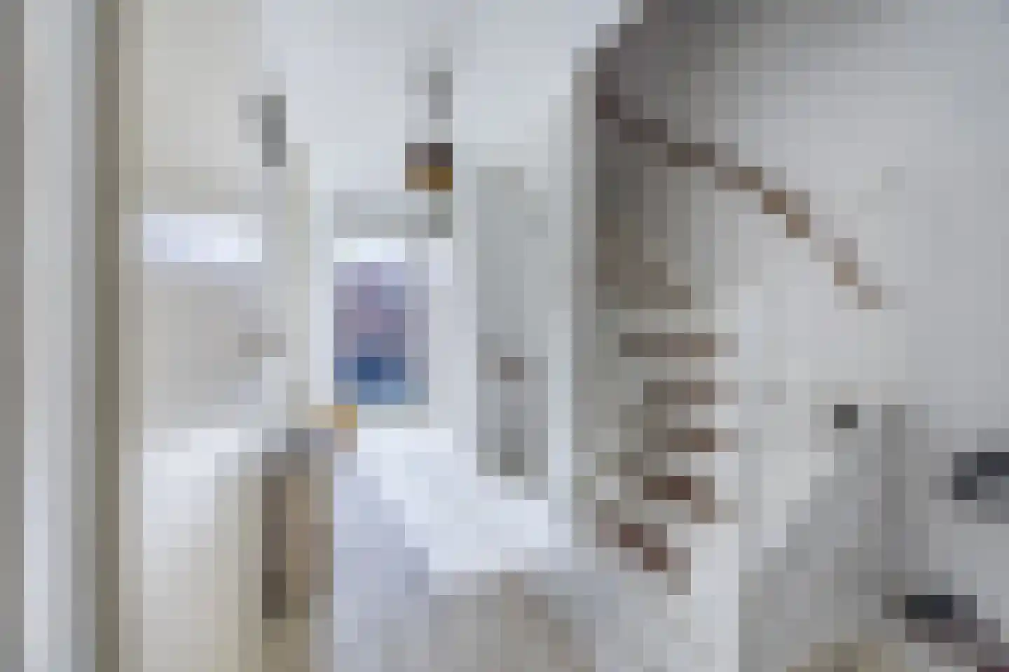 Weidevogellaan 68 Den Haag thumbnail 17
