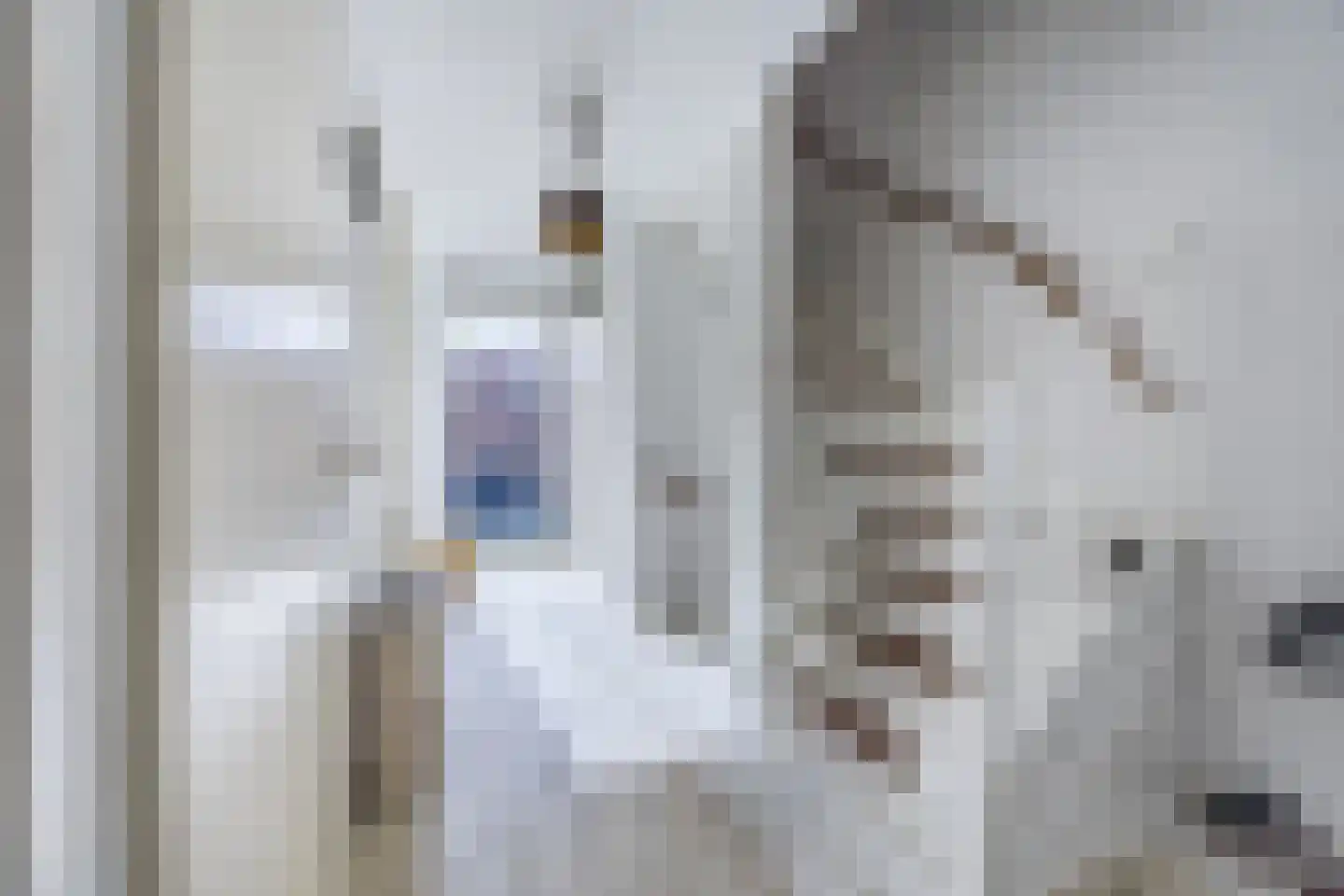 Weidevogellaan 68 Den Haag thumbnail 17
