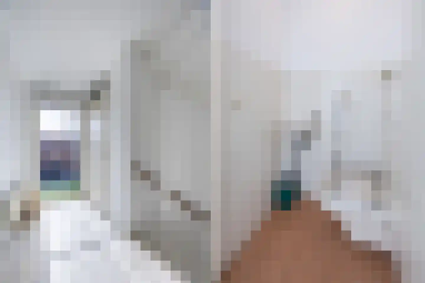 Weidevogellaan 68 Den Haag thumbnail 21