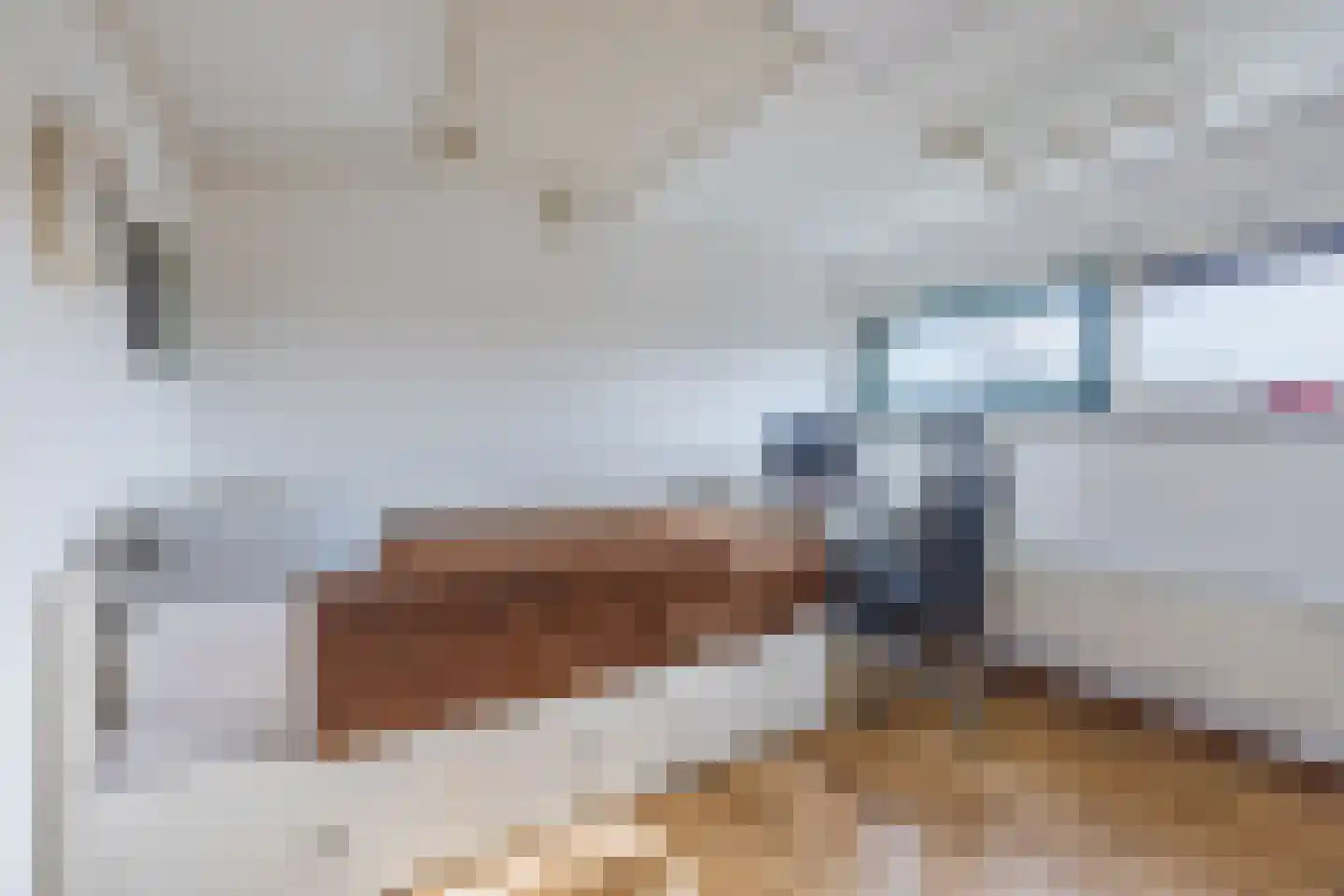 Weidevogellaan 68 Den Haag thumbnail 36