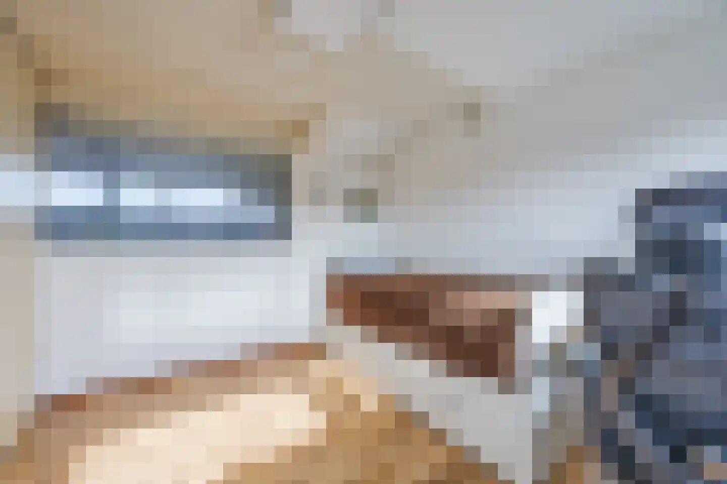 Weidevogellaan 68 Den Haag thumbnail 37