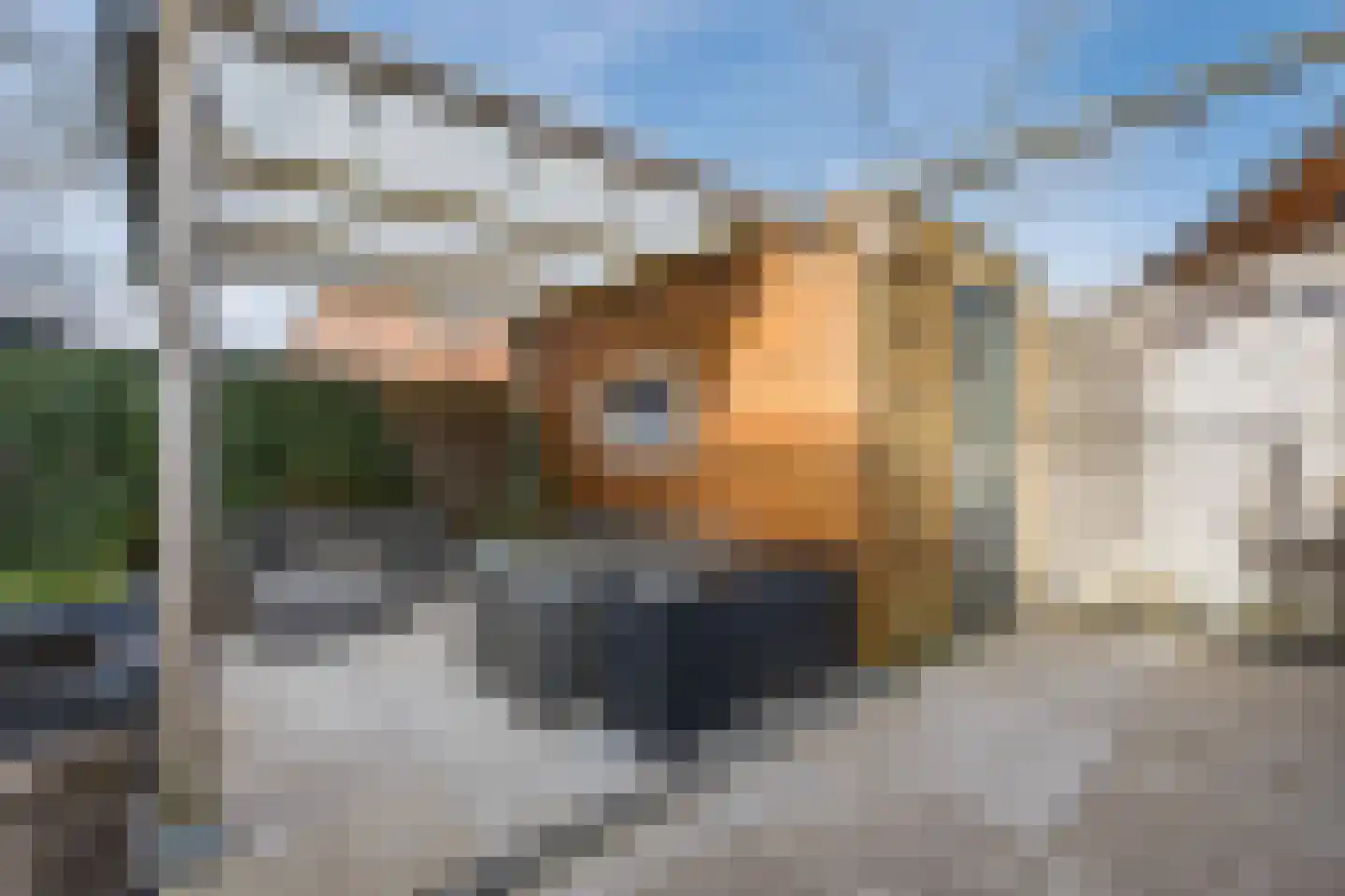 Weidevogellaan 68 Den Haag thumbnail 41