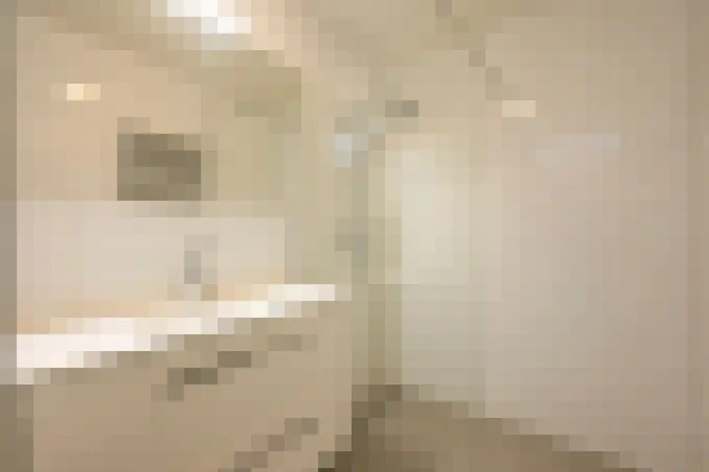 Weidevogellaan 8 Den Haag thumbnail 14