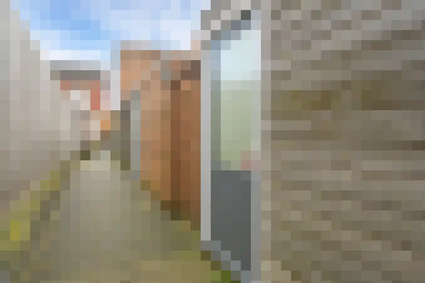 Weidevogellaan 8 Den Haag thumbnail 25