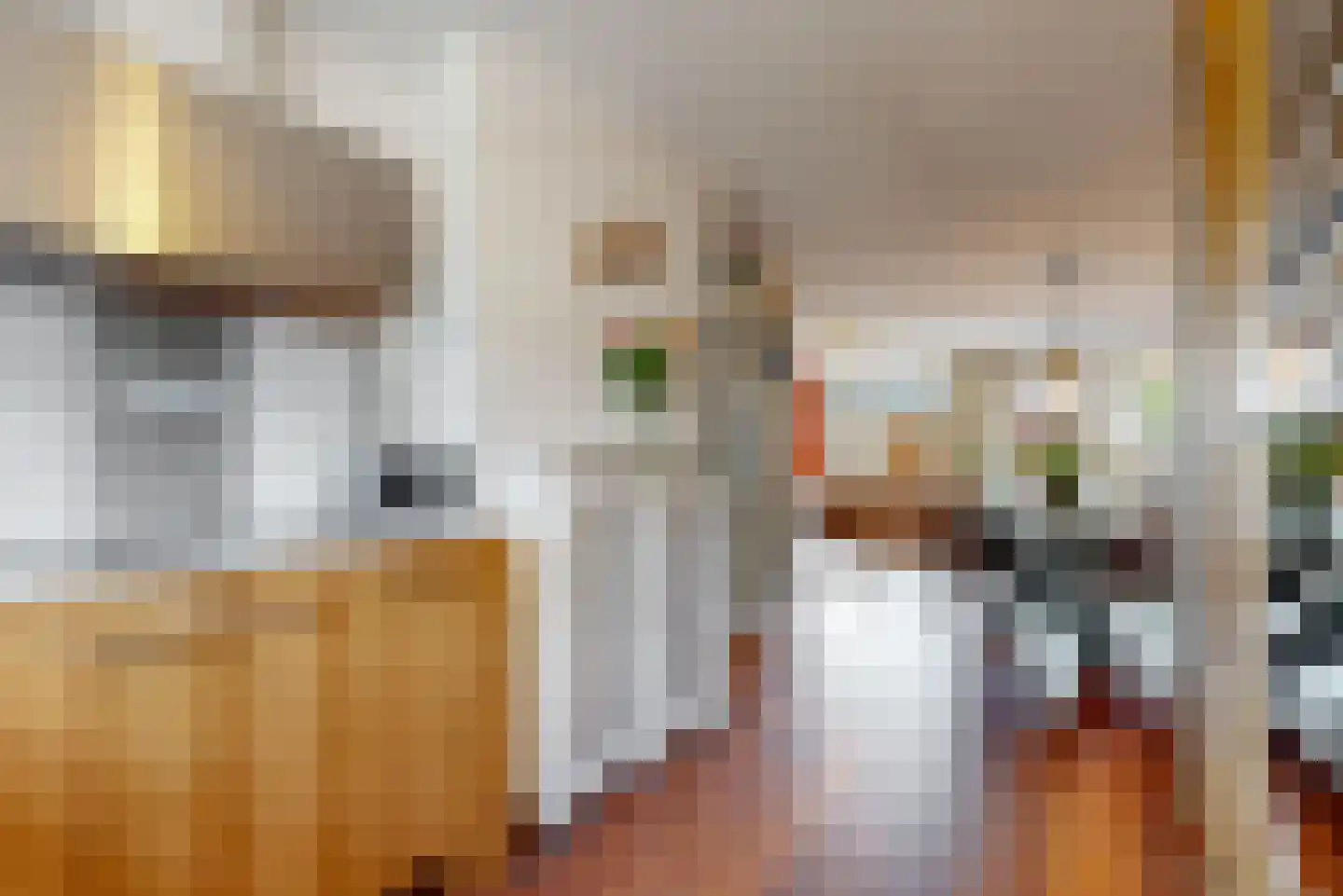 Weidevogellaan 81 Den Haag thumbnail 11