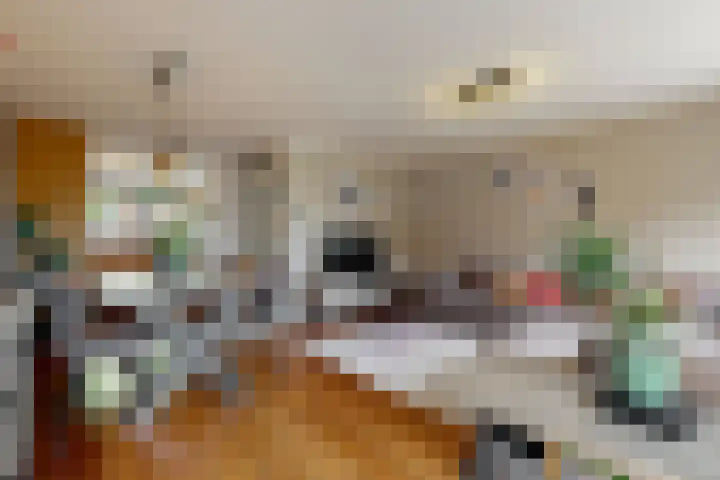 Weidevogellaan 81 Den Haag thumbnail 13
